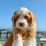 ♡ F I L B E R T ♡ profile photo