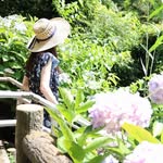 calin🍽お取り寄せ/東京 *千葉*大阪グルメ カフェ profile photo