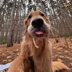 Jean-Pierre profile photo