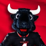 Toro 🐃 profile photo