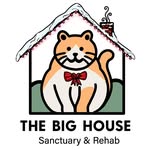 Life with The Big House Cats profile photo