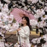 Lina Irwanto profile photo