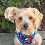 Louie M profile photo