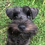 Little Eddy profile photo