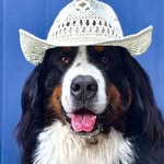 ✵ Bernie ✵ profile photo