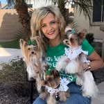💗yorkies💗 profile photo