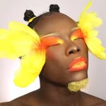 The King of Colour profile photo