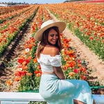 Liv 🩷 Chicago + Travel profile photo