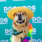 D E K U ᨒ profile photo