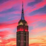 new york city profile photo