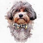 Hershey & Jill profile photo