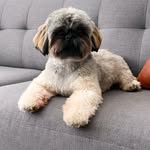 Peppers profile photo
