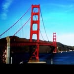 searchingsanfrancisco profile photo
