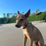 Jess & Roo profile photo