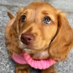 🎀Winnie🎀 profile photo