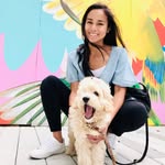 dmvfoodie on TikTok (100K+) profile photo
