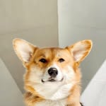 Chubberson (aka Chubs) profile photo