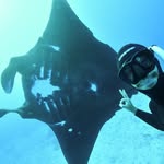 Pablo Cogollos profile photo
