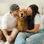 Wally Dog profile photo
