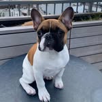 Henry profile photo