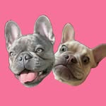Winston and Charlie 🐾 profile photo