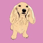 Lucy Louise profile photo