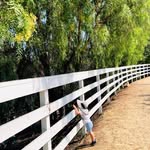 San Diego Play Days ☀️ Lyndsay profile photo