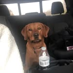 Ricky profile photo