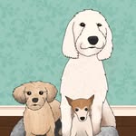 The CarbDogs: Baguette, Brioche, & Bagle 🐶 Pupfluencers fro profile photo