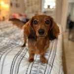 Franklin & Melissa 🫶 profile photo