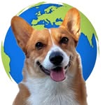 Corgi • Luxury dog travel • Miami • London profile photo