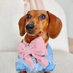 Kiki profile photo