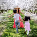 Athi * SF Bay Area Family Travel - Budget Friendly Californi profile photo