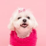 Barbara profile photo