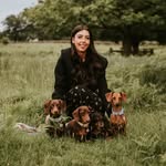 Chloe 👩🏻 Hugo, Hunter, Hazel, Holly & Blossom 🐾 profile photo