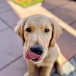 Jake profile photo