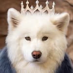 Coconut Rice Bear profile photo