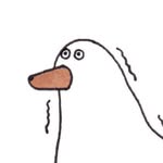 foxco profile photo