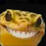 Brava profile photo