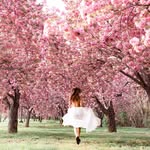 li_diana profile photo