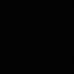 Frances Tiafoe profile photo