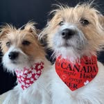 River & Brooke profile photo