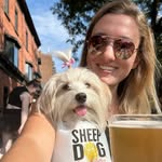 Mila the Havanese profile photo