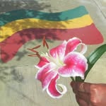 Liya Hizkias profile photo