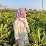 Noor profile photo