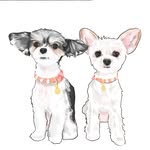 Tinkerbelle The Dog® & Belle profile photo