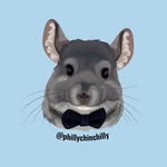 Phil E. Chinchilla profile photo
