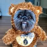 Sexy Beast profile photo