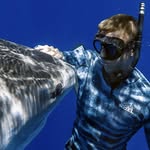 Juan Oliphant #JuanSharks profile photo
