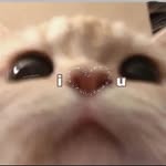 𝓋𝒾𝓈𝓊𝒶𝓁 𝒹𝒾𝒶𝓇𝓎 𝒷𝓎 ℳ𝒶𝓇𝒾𝑒 🐞 profile photo